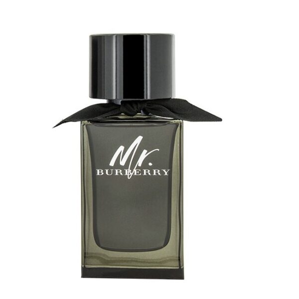 Burberry - Mr Burberry Eau de Parfum - 100 ml - burberry