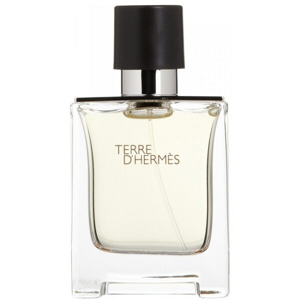 Hermes - Terre D'Hermes Eau de Toilette 100 ml - hermes